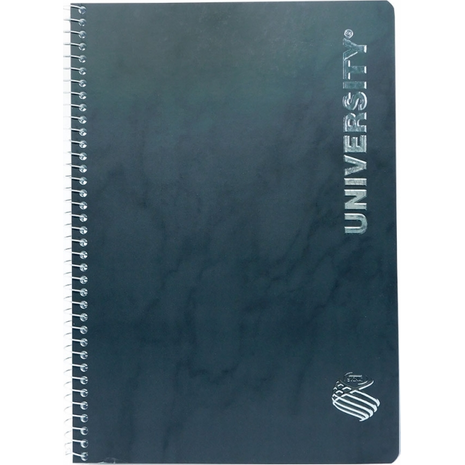 Τετράδιο Σπιράλ SKAG University Silver 17x25cm 2 θεμάτων 100 Φύλλων  (292498) (Διάφορα χρώματα)
